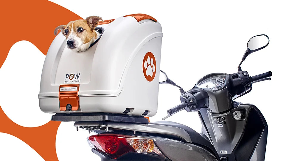 POW : transport pour animaux de compagnie